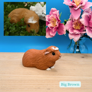 Small sculpture of a smooth coat Guinea Pig. Ginger with white crest, paws and a small spot on her nose. Her name was Big Brown