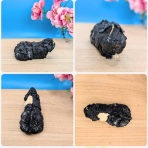 Small sculpture of a black and blond Abyssinian Guinea Pig called Sherlock